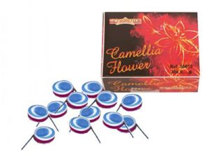 Camellia Floxer S (12)